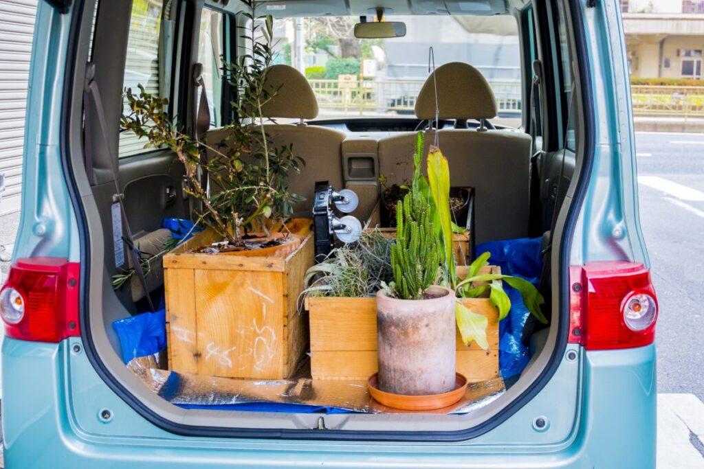 軽自動車あるあるその4. 「意外と荷物載るじゃん！な瞬間」